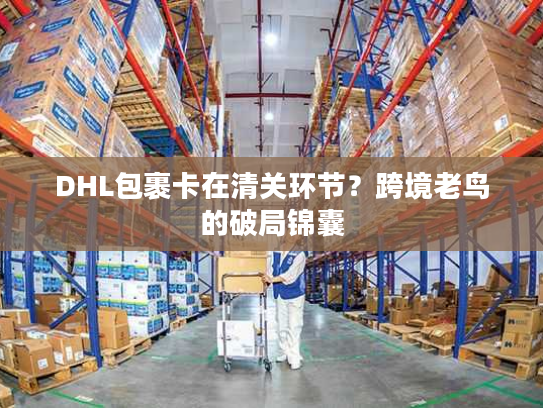 DHL包裹卡在清关环节？跨境老鸟的破局锦囊