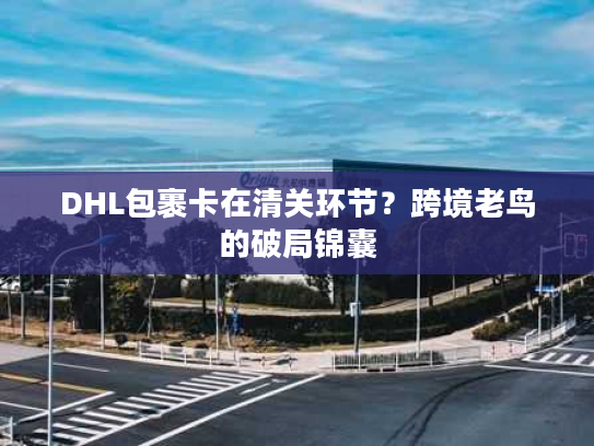 DHL包裹卡在清关环节？跨境老鸟的破局锦囊