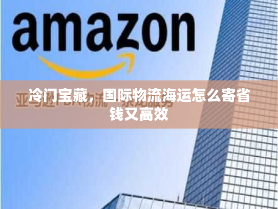 冷门宝藏，国际物流海运怎么寄省钱又高效