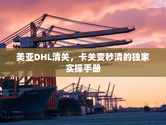 美亚DHL清关,卡关变秒清的独家实操手册 美亚DHL清关,卡关变秒清的独家实操手册