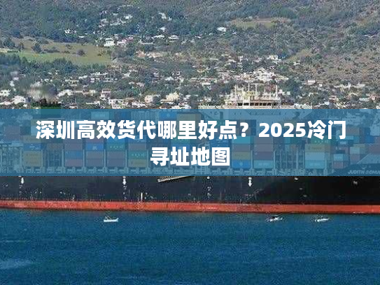 深圳高效货代哪里好点?2025冷门寻址地图 深圳高效货代哪里好点?2025冷门寻址地图