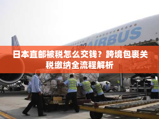 日本直邮被税怎么交钱?跨境包裹关税缴纳全流程解析 日本直邮被税怎么交钱?跨境包裹关税缴纳全流程解析