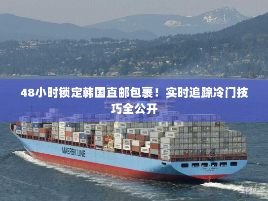 48小时锁定韩国直邮包裹！实时追踪冷门技巧全公开