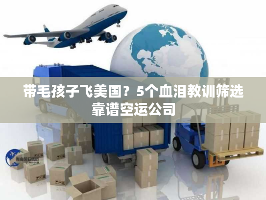 带毛孩子飞美国？5个血泪教训筛选靠谱空运公司