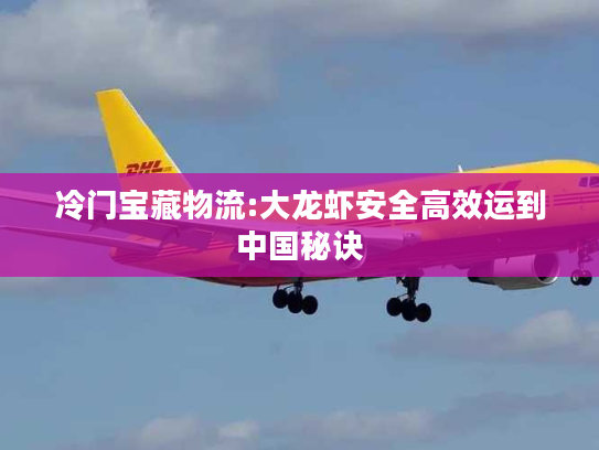冷门宝藏物流:大龙虾安全高效运到中国秘诀