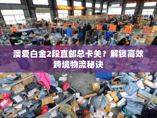 澳爱白金2段直邮总卡关？解锁高效跨境物流秘诀