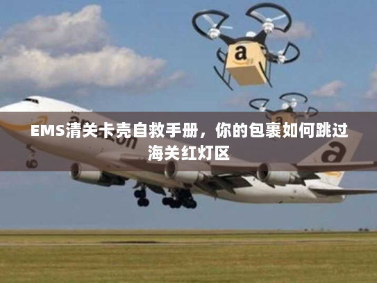 EMS清关卡壳自救手册,你的包裹如何跳过海关红灯区 EMS清关卡壳自救手册,你的包裹如何跳过海关红灯区