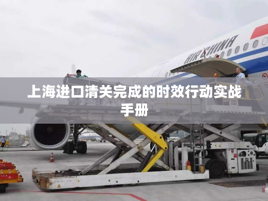 上海进口清关完成的时效行动实战手册