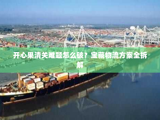 开心果清关难题怎么破？宝藏物流方案全拆解