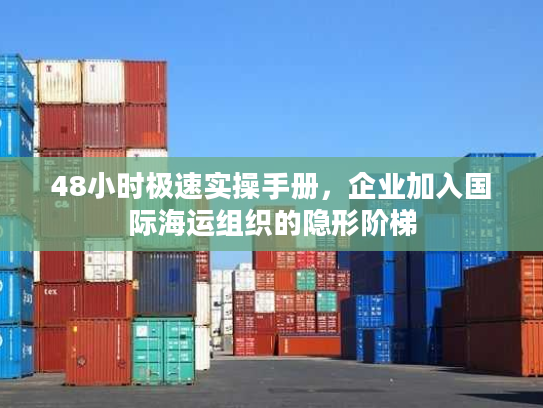 48小时极速实操手册，企业加入国际海运组织的隐形阶梯