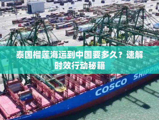 泰国榴莲海运到中国要多久？速解时效行动秘籍