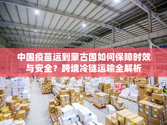 中国疫苗运到蒙古国如何保障时效与安全？跨境冷链运输全解析