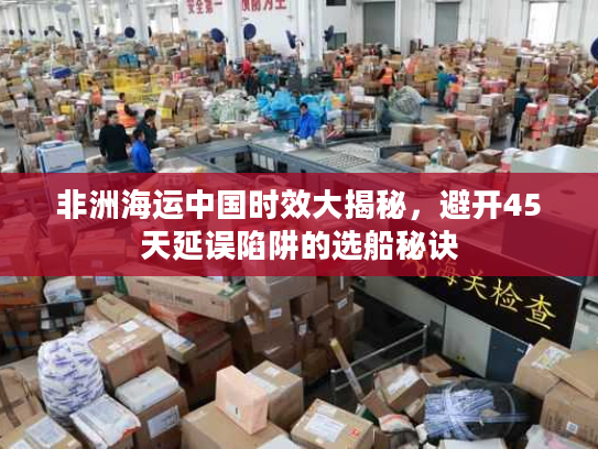 非洲海运中国时效大揭秘，避开45天延误陷阱的选船秘诀