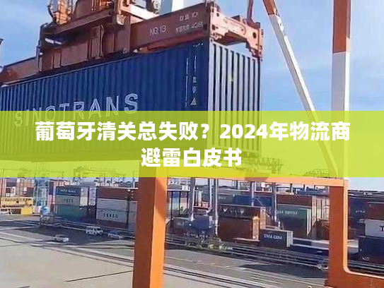 葡萄牙清关总失败？2024年物流商避雷白皮书