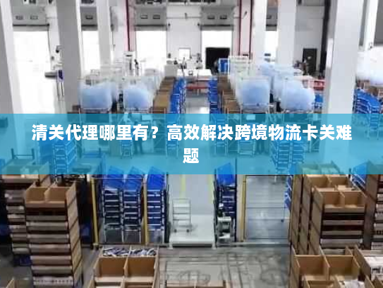 清关代理哪里有？高效解决跨境物流卡关难题