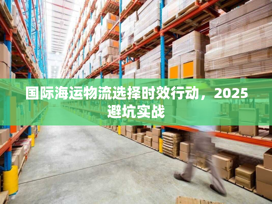 国际海运物流选择时效行动，2025避坑实战