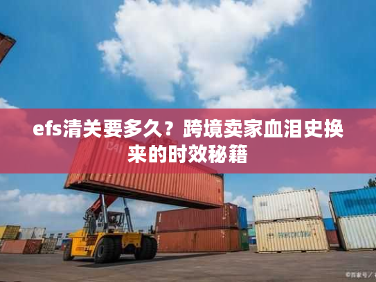 efs清关要多久?跨境卖家血泪史换来的时效秘籍 efs清关要多久?跨境卖家血泪史换来的时效秘籍