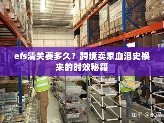 efs清关要多久?跨境卖家血泪史换来的时效秘籍 efs清关要多久?跨境卖家血泪史换来的时效秘籍