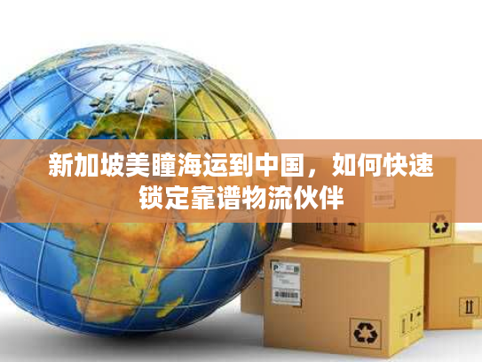 新加坡美瞳海运到中国，如何快速锁定靠谱物流伙伴