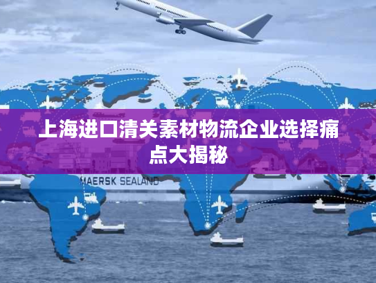 上海进口清关素材物流企业选择痛点大揭秘 上海进口清关素材物流企业选择痛点大揭秘
