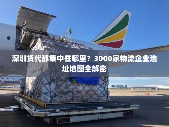深圳货代都集中在哪里?3000家物流企业选址地图全解密 深圳货代都集中在哪里?3000家物流企业选址地图全解密