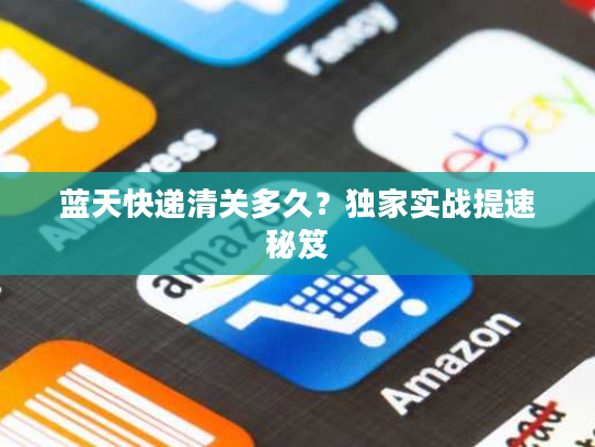 蓝天快递清关多久？独家实战提速秘笈