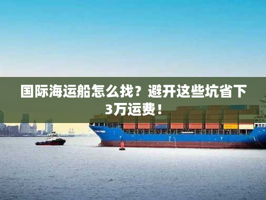 国际海运船怎么找？避开这些坑省下3万运费！
