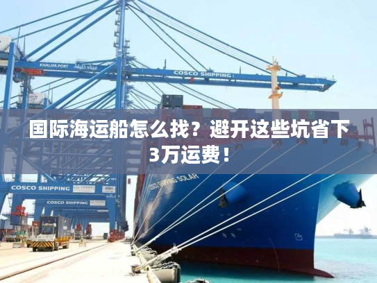 国际海运船怎么找？避开这些坑省下3万运费！
