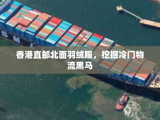 香港直邮北面羽绒服,挖掘冷门物流黑马 香港直邮北面羽绒服,挖掘冷门物流黑马