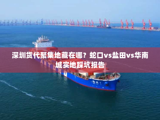 深圳货代聚集地藏在哪？蛇口vs盐田vs华南城实地踩坑报告