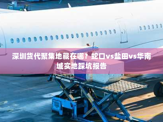 深圳货代聚集地藏在哪？蛇口vs盐田vs华南城实地踩坑报告