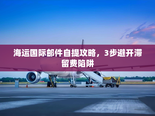 海运国际邮件自提攻略,3步避开滞留费陷阱 海运国际邮件自提攻略,3步避开滞留费陷阱