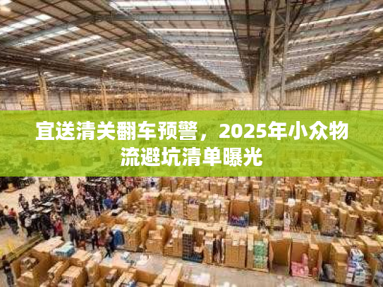 宜送清关翻车预警，2025年小众物流避坑清单曝光