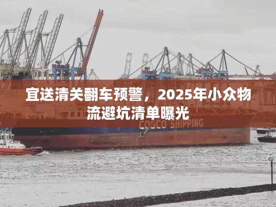 宜送清关翻车预警，2025年小众物流避坑清单曝光