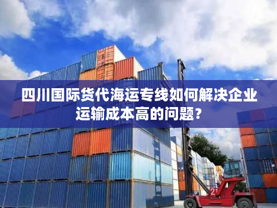 四川国际货代海运专线如何解决企业运输成本高的问题？