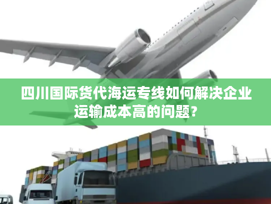 四川国际货代海运专线如何解决企业运输成本高的问题？
