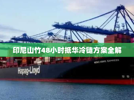 印尼山竹48小时抵华冷链方案全解