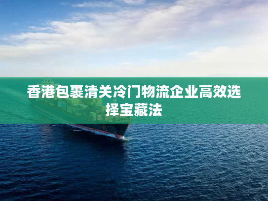 香港包裹清关冷门物流企业高效选择宝藏法 香港包裹清关冷门物流企业高效选择宝藏法