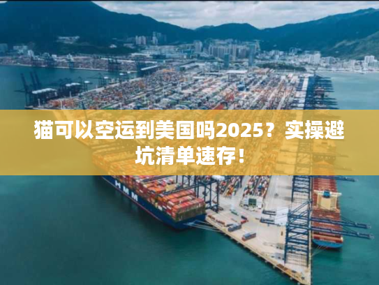 猫可以空运到美国吗2025？实操避坑清单速存！