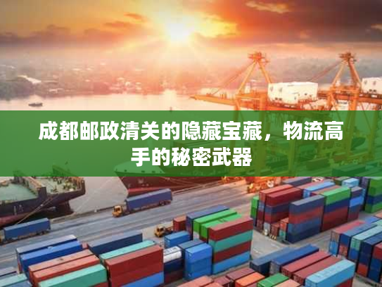 成都邮政清关的隐藏宝藏，物流高手的秘密武器