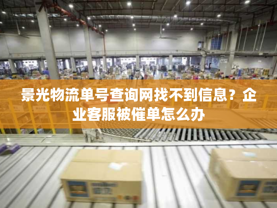 景光物流单号查询网找不到信息？企业客服被催单怎么办