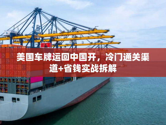 美国车牌运回中国开，冷门通关渠道+省钱实战拆解