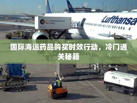 国际海运药品购买时效行动，冷门通关秘籍