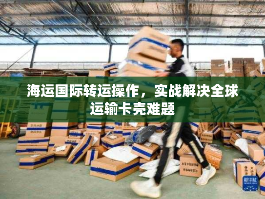 海运国际转运操作，实战解决全球运输卡壳难题