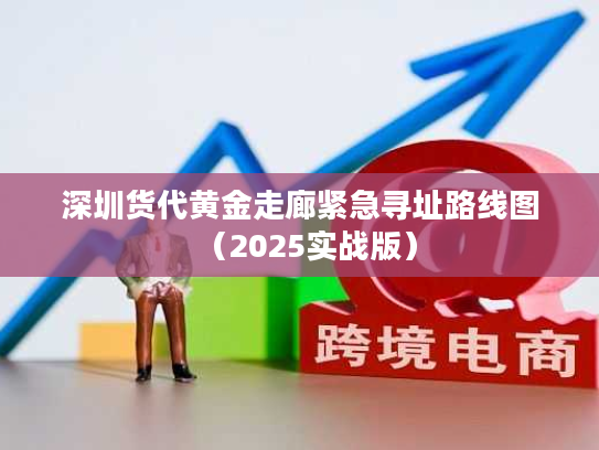 深圳货代黄金走廊紧急寻址路线图（2025实战版）