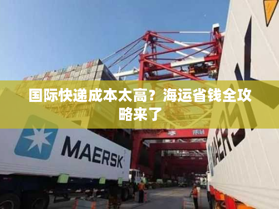 国际快递成本太高？海运省钱全攻略来了