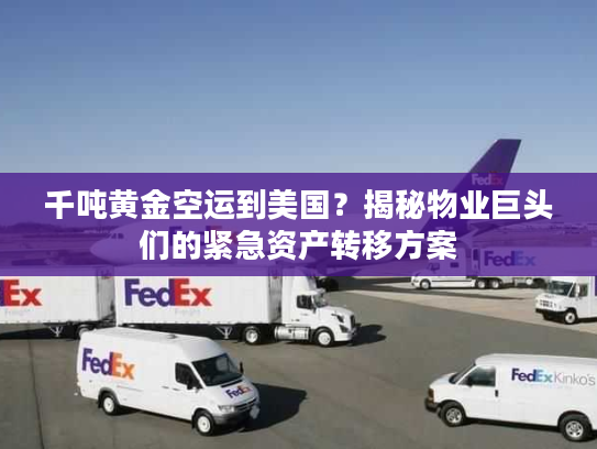 千吨黄金空运到美国？揭秘物业巨头们的紧急资产转移方案