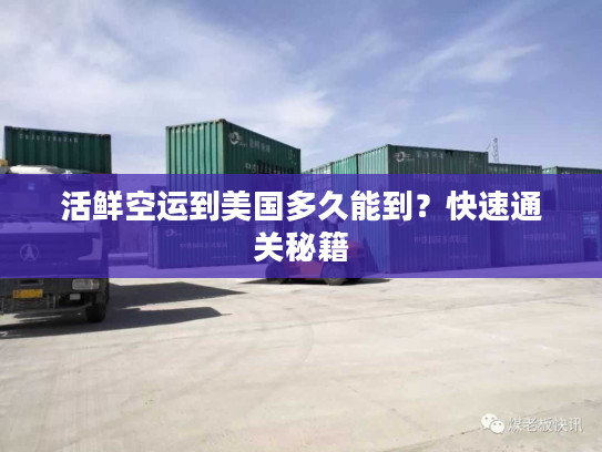 活鲜空运到美国多久能到？快速通关秘籍