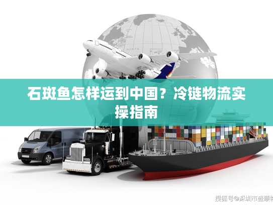 石斑鱼怎样运到中国？冷链物流实操指南