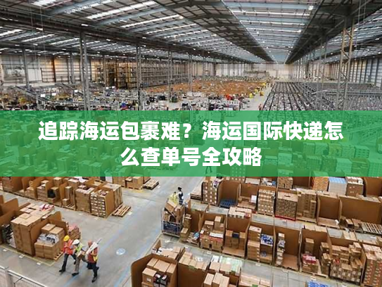 追踪海运包裹难？海运国际快递怎么查单号全攻略